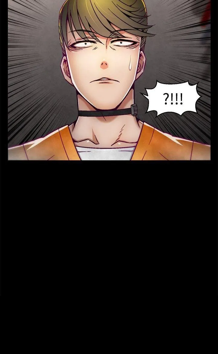 Trung tâm đào tạo Papapa Chương 1-62