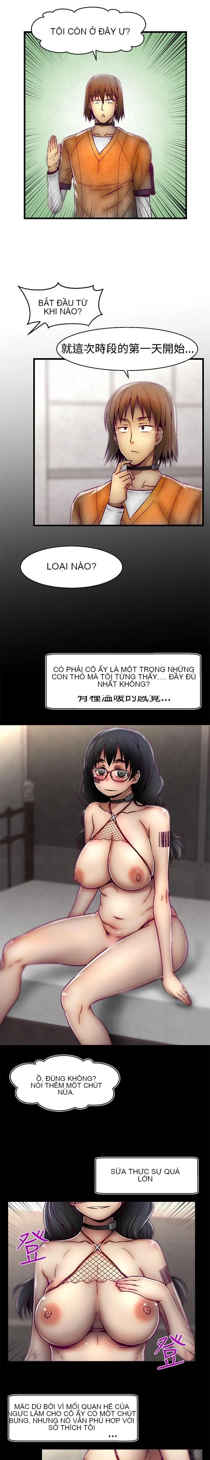 Trung tâm đào tạo Papapa Chương 1-62