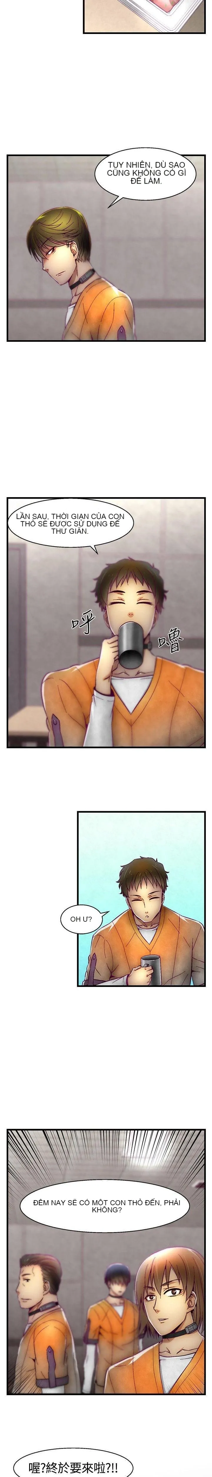 Trung tâm đào tạo Papapa Chương 1-62