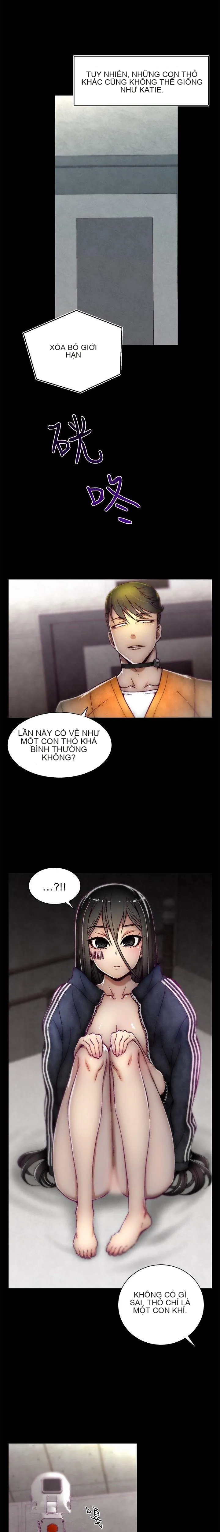 Trung tâm đào tạo Papapa Chương 1-62