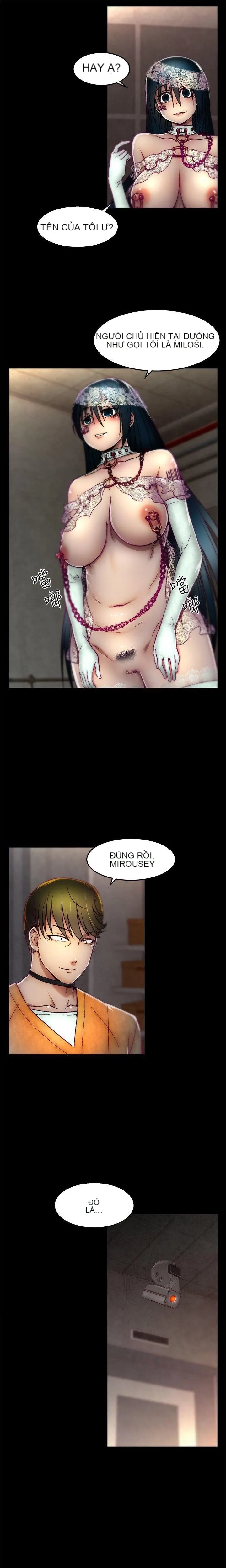 Trung tâm đào tạo Papapa Chương 1-62