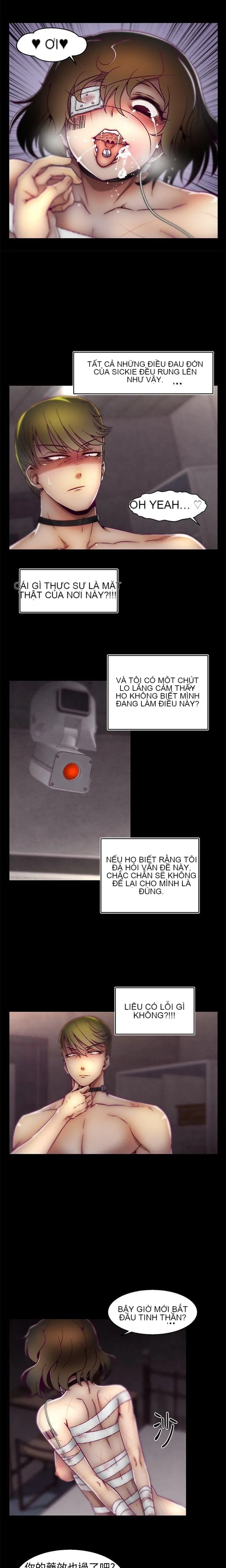 Trung tâm đào tạo Papapa Chương 1-62