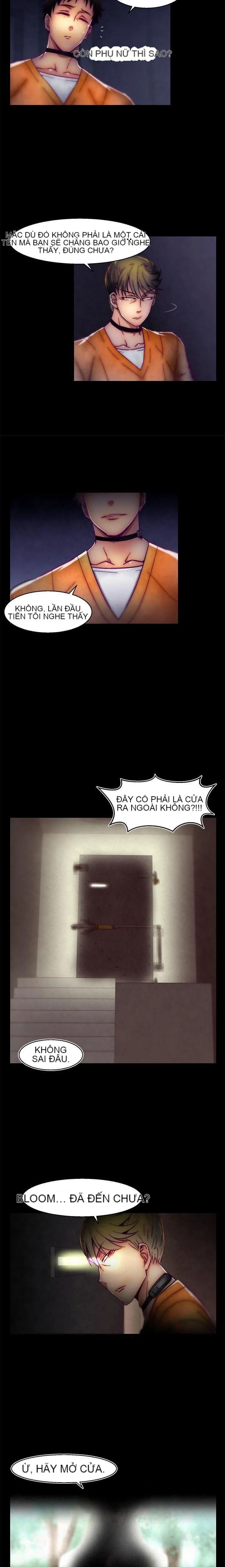 Trung tâm đào tạo Papapa Chương 1-62