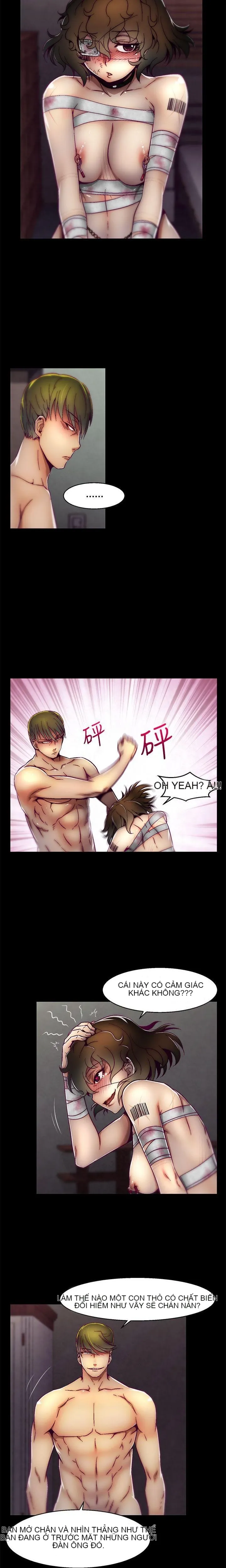 Trung tâm đào tạo Papapa Chương 1-62