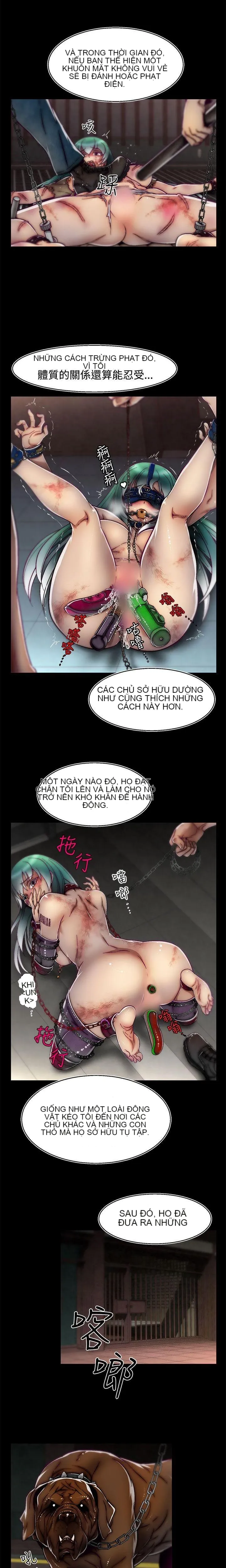 Trung tâm đào tạo Papapa Chương 1-62