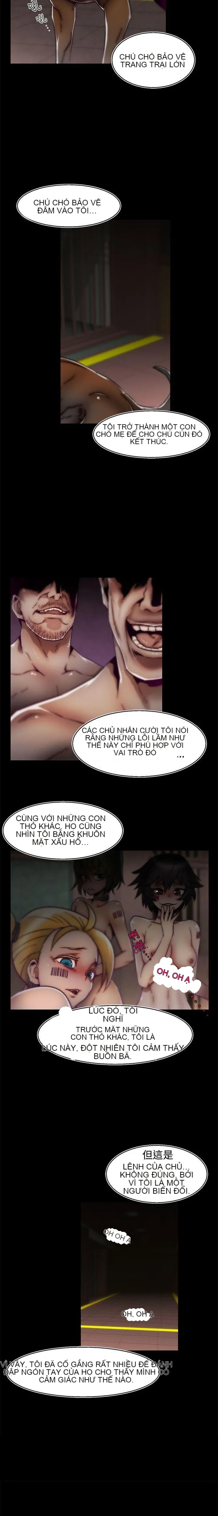 Trung tâm đào tạo Papapa Chương 1-62