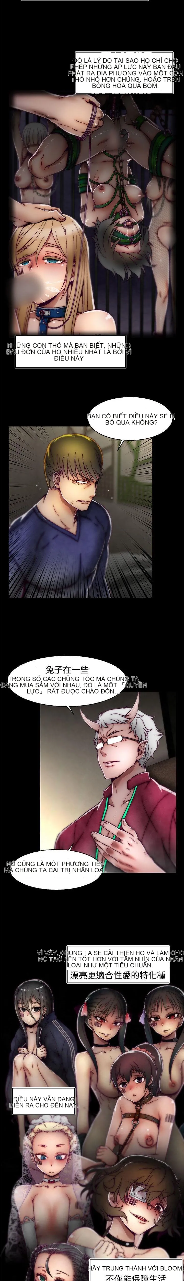 Trung tâm đào tạo Papapa Chương 1-62