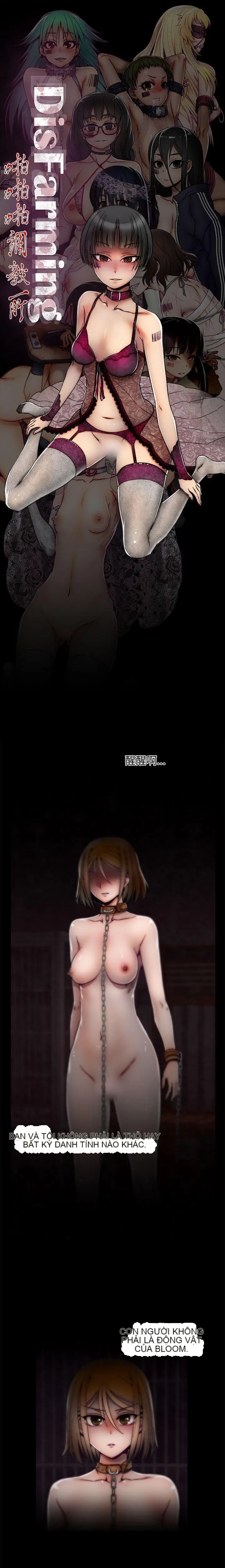 Trung tâm đào tạo Papapa Chương 1-62