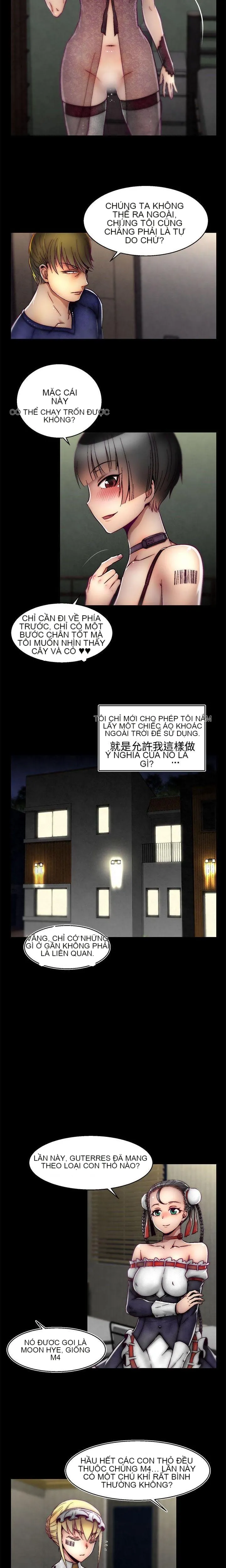 Trung tâm đào tạo Papapa Chương 1-62