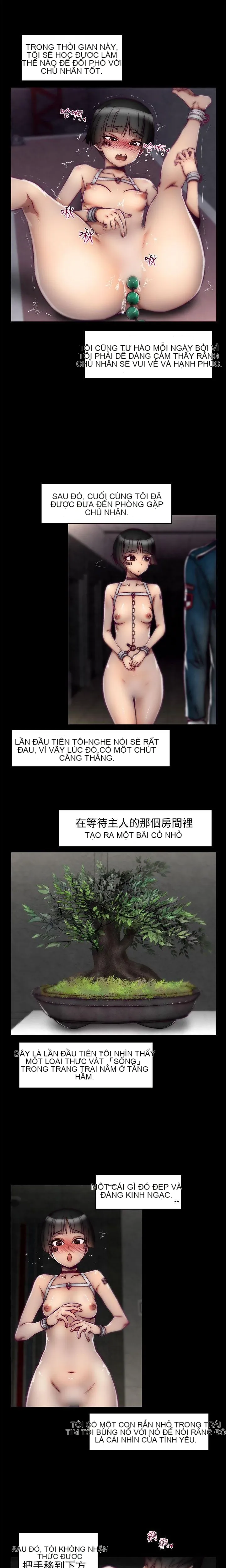 Trung tâm đào tạo Papapa Chương 1-62