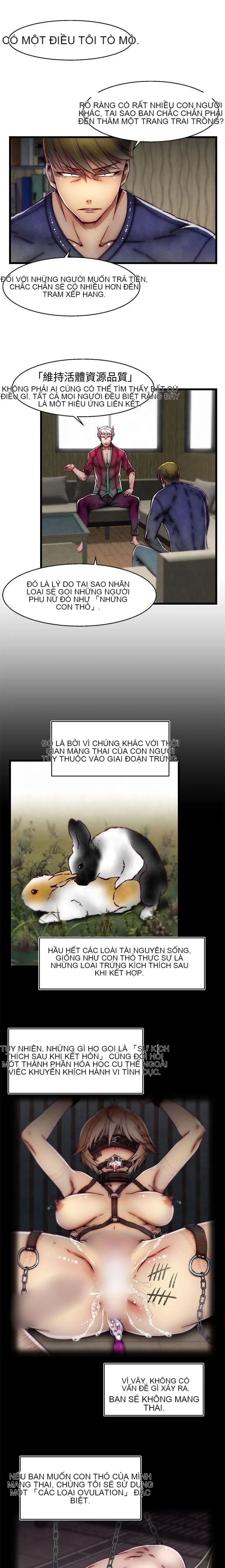 Trung tâm đào tạo Papapa Chương 1-62