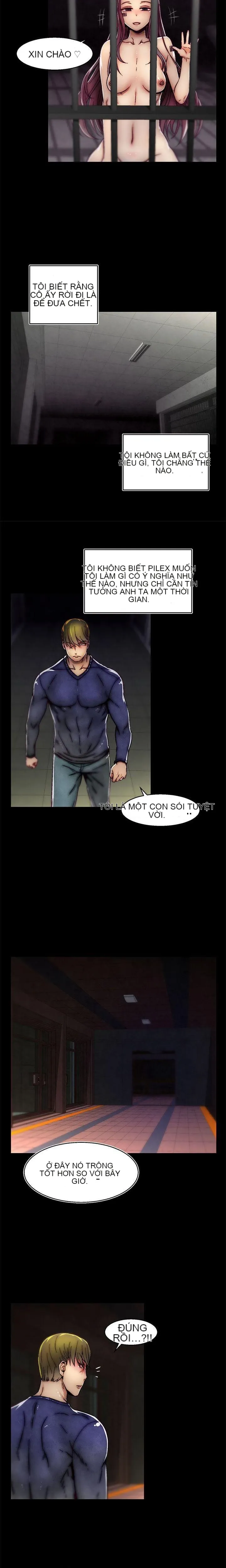 Trung tâm đào tạo Papapa Chương 1-62