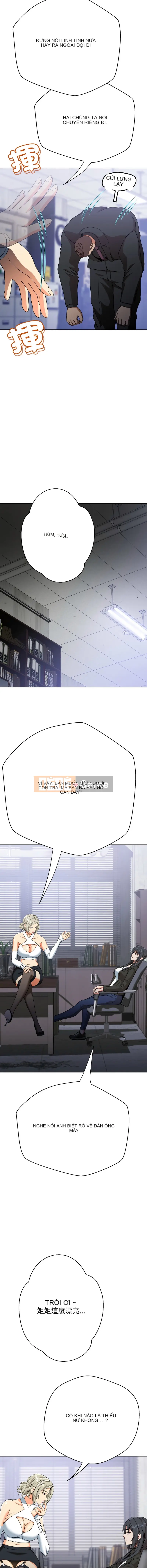 Bạn gái của Rồng Gai và Phượng Hoàng Gai Chương 1-4