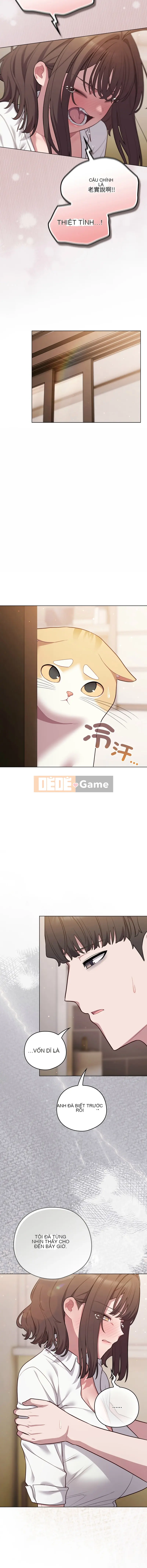 Tình yêu của Mow Chương 46-47