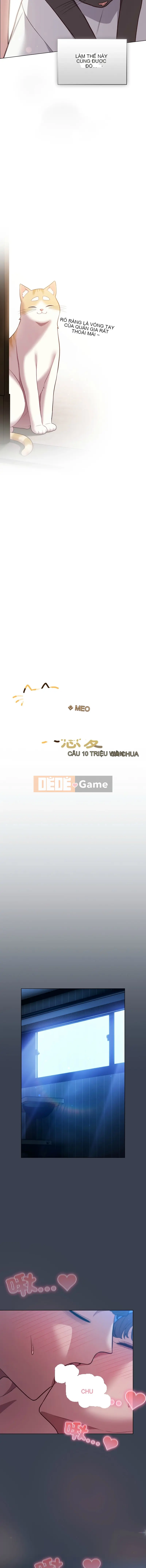 Tình yêu của Mow Chương 46-47