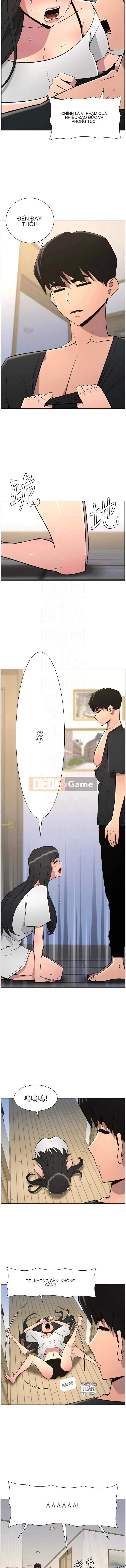 Bài học bí mật của anh chị em Chương 88-89