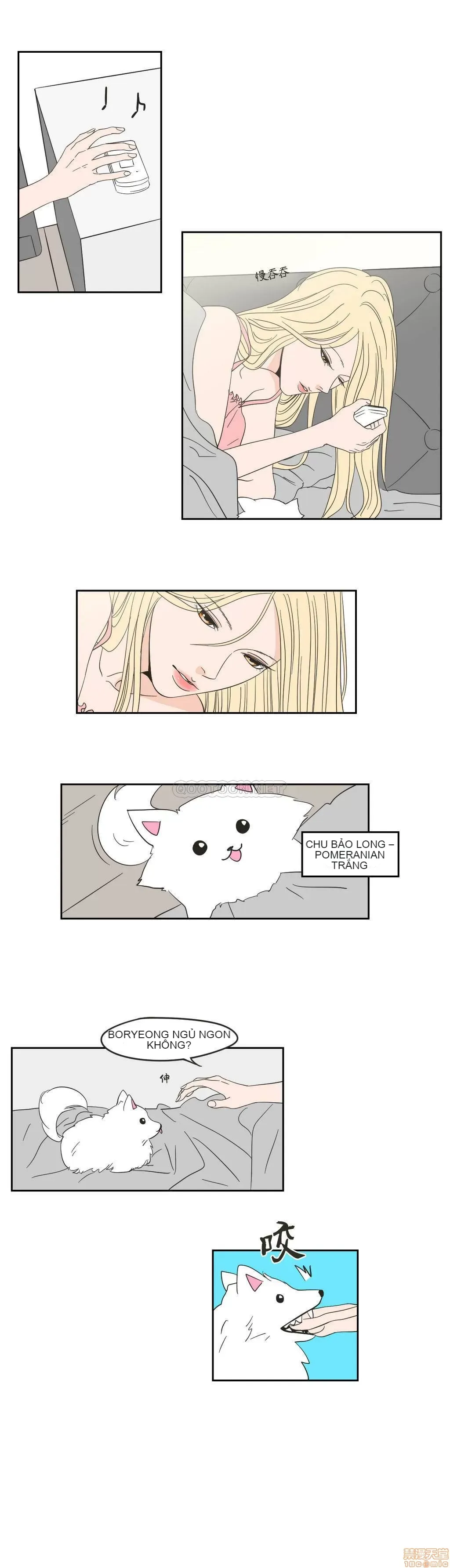 Cái gì -Làm -con cáo -Nói Chương 1-134