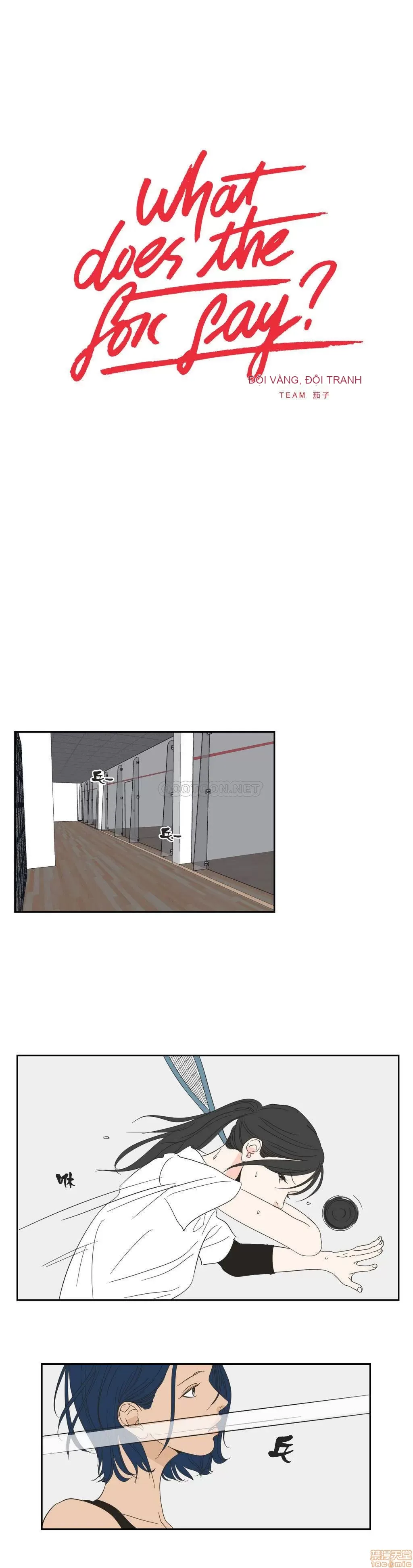 Cái gì -Làm -con cáo -Nói Chương 1-134