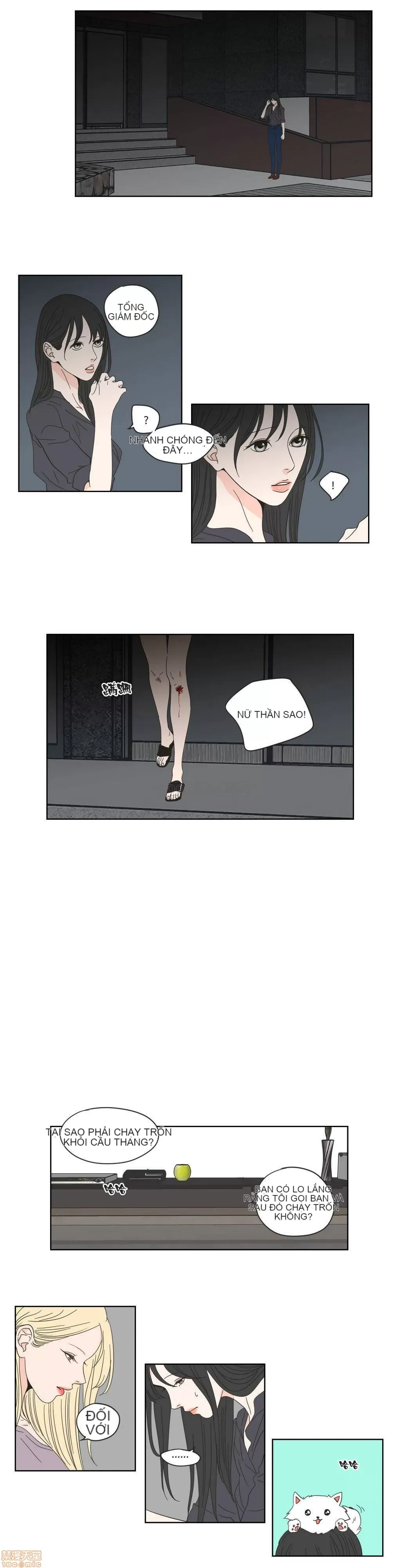 Cái gì -Làm -con cáo -Nói Chương 1-134