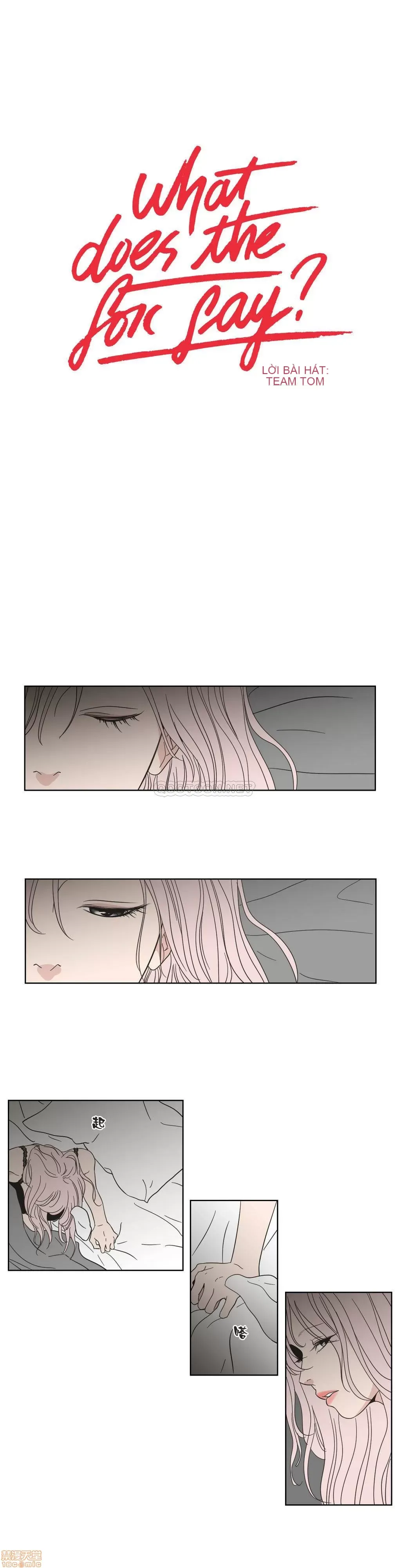 Cái gì -Làm -con cáo -Nói Chương 1-134