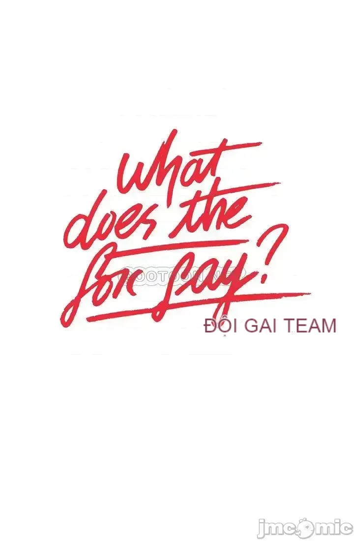 Cái gì -Làm -con cáo -Nói Chương 1-134