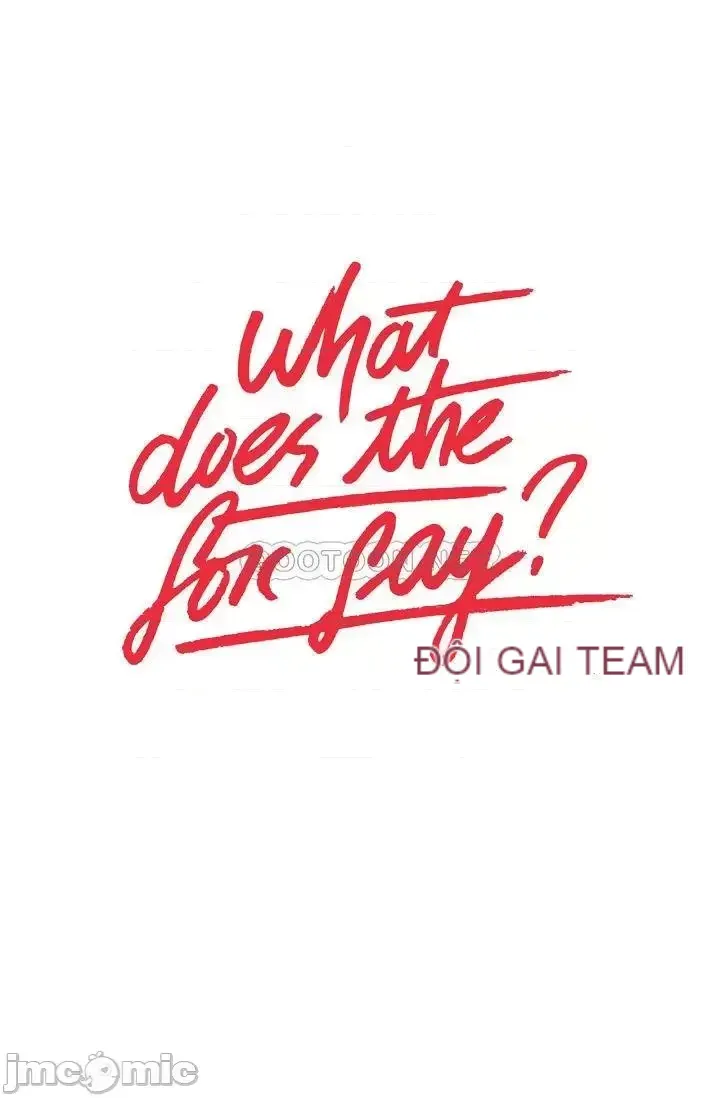 Cái gì -Làm -con cáo -Nói Chương 1-134