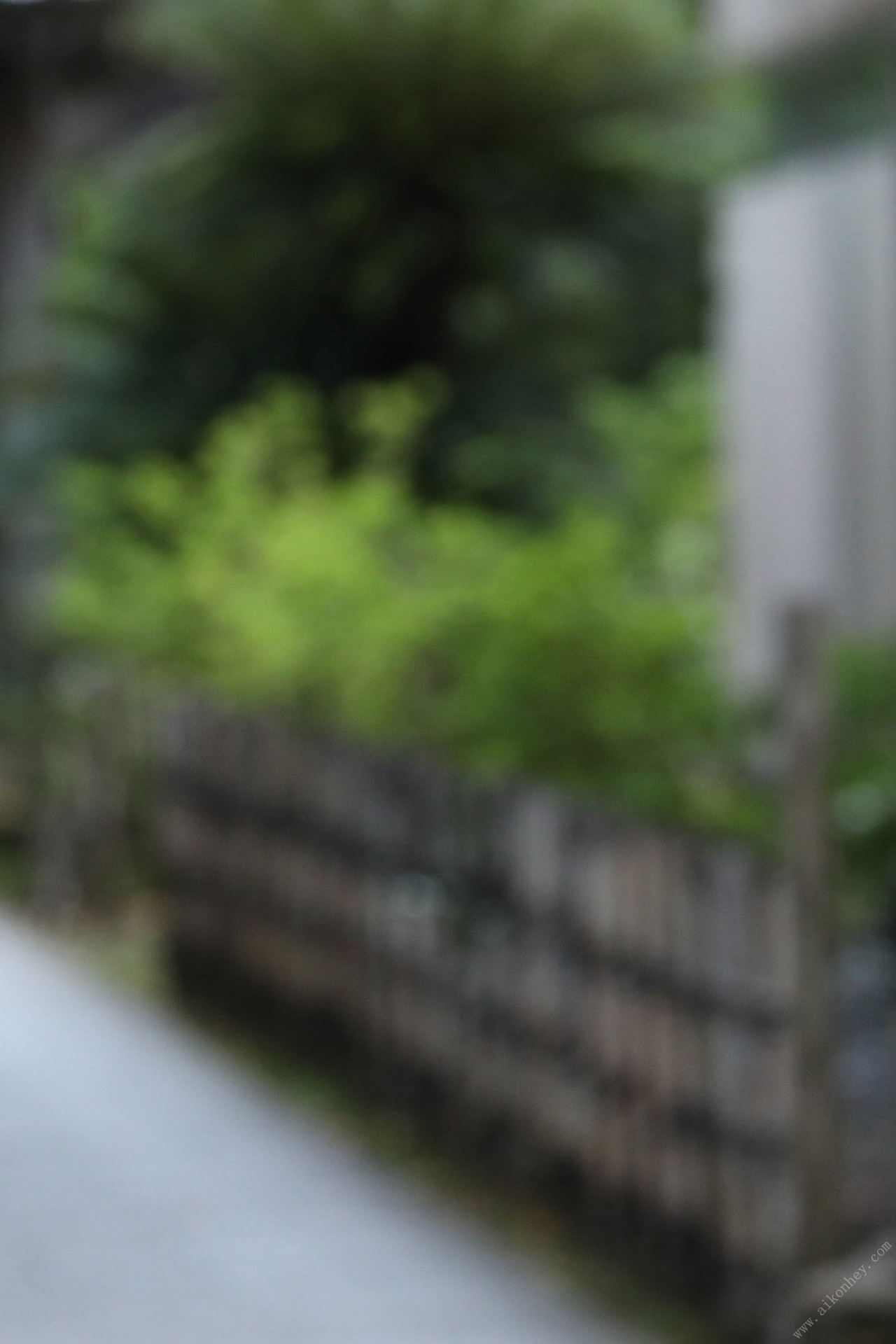 Tổng hợp kho lưu trữ quý giá của Aya Kawasaki Sách ảnh kỹ thuật số PREMIUM