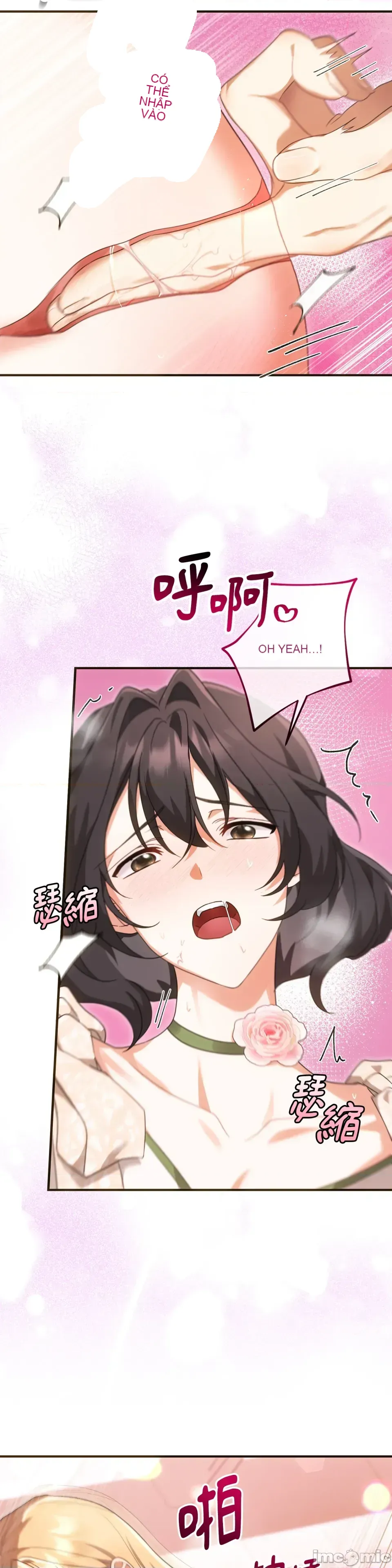 Pháp sư, tôi có thể triệu tập bạn đến với tôi không? Chương 1-36