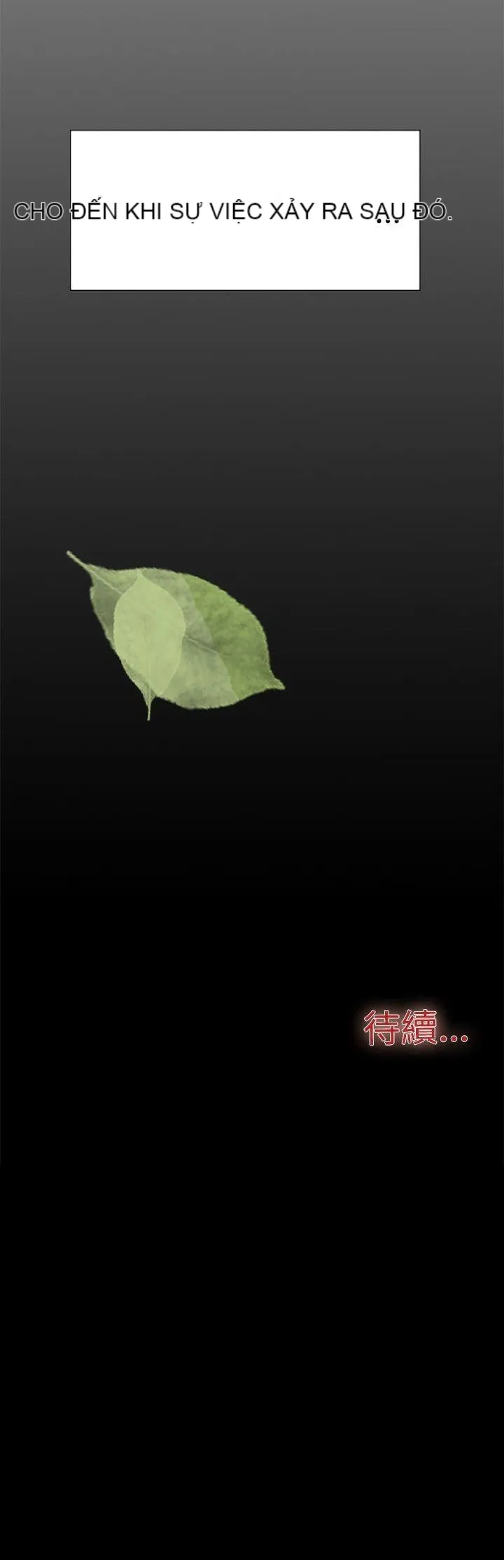 Tình yêu đôi Chương 1-64