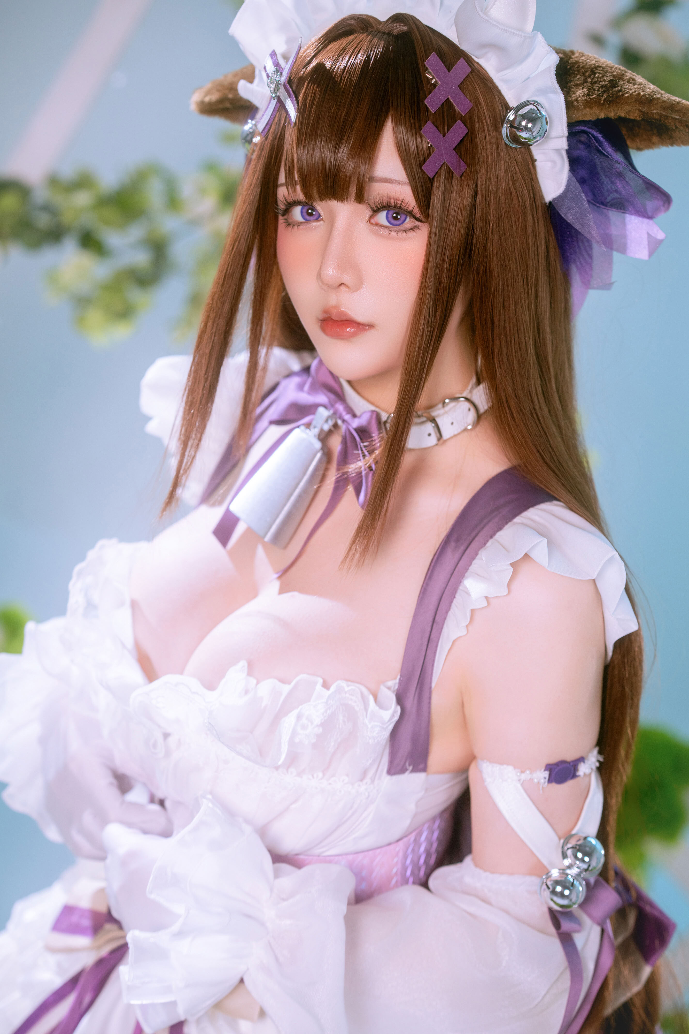 Hoshilily of the Star - 25 tháng 12 Kế hoạch D Azur Lane Kashino