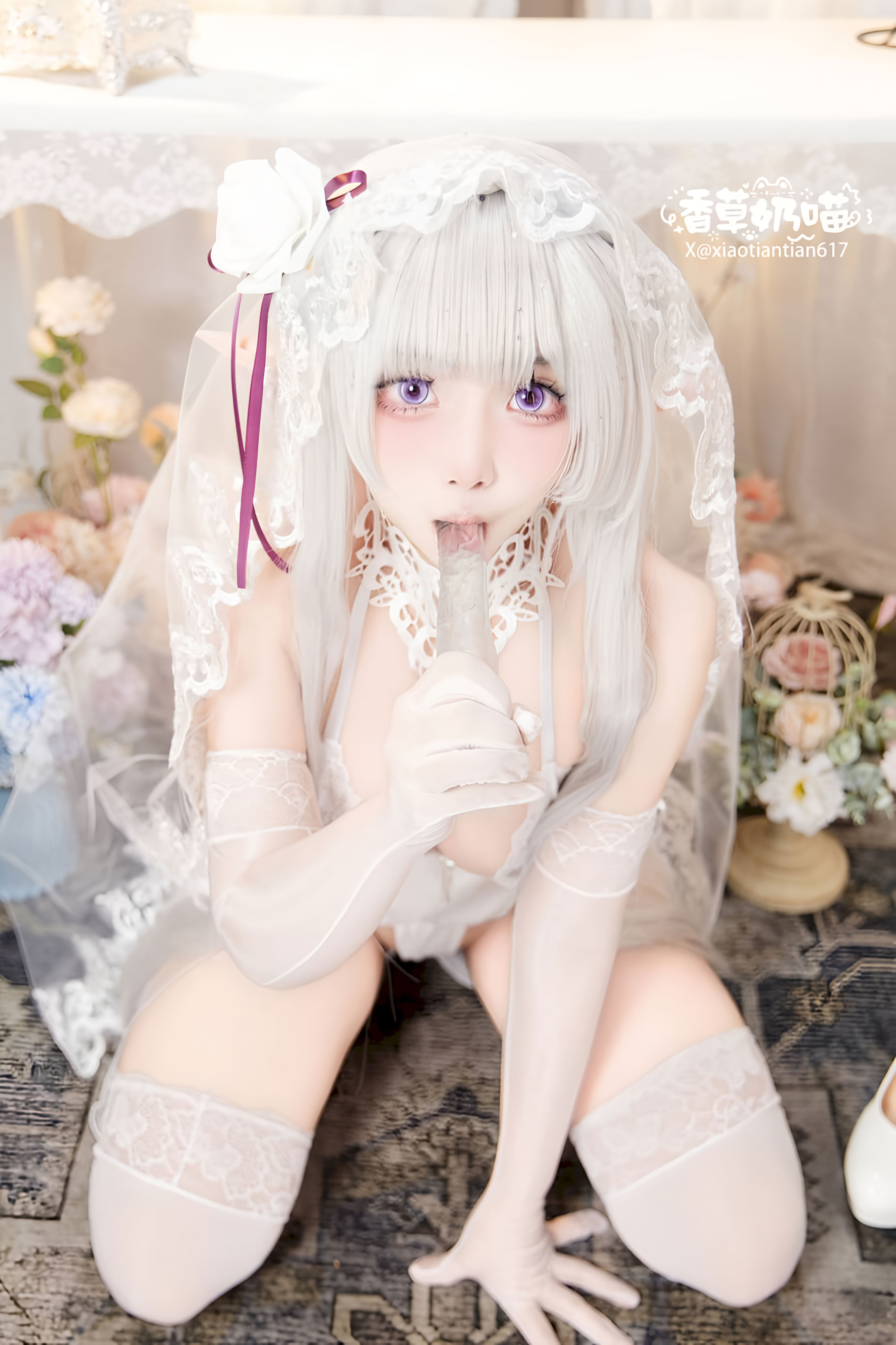 Hương Vị Sữa Mèo Emilia Ngày Lễ Tình Nhân