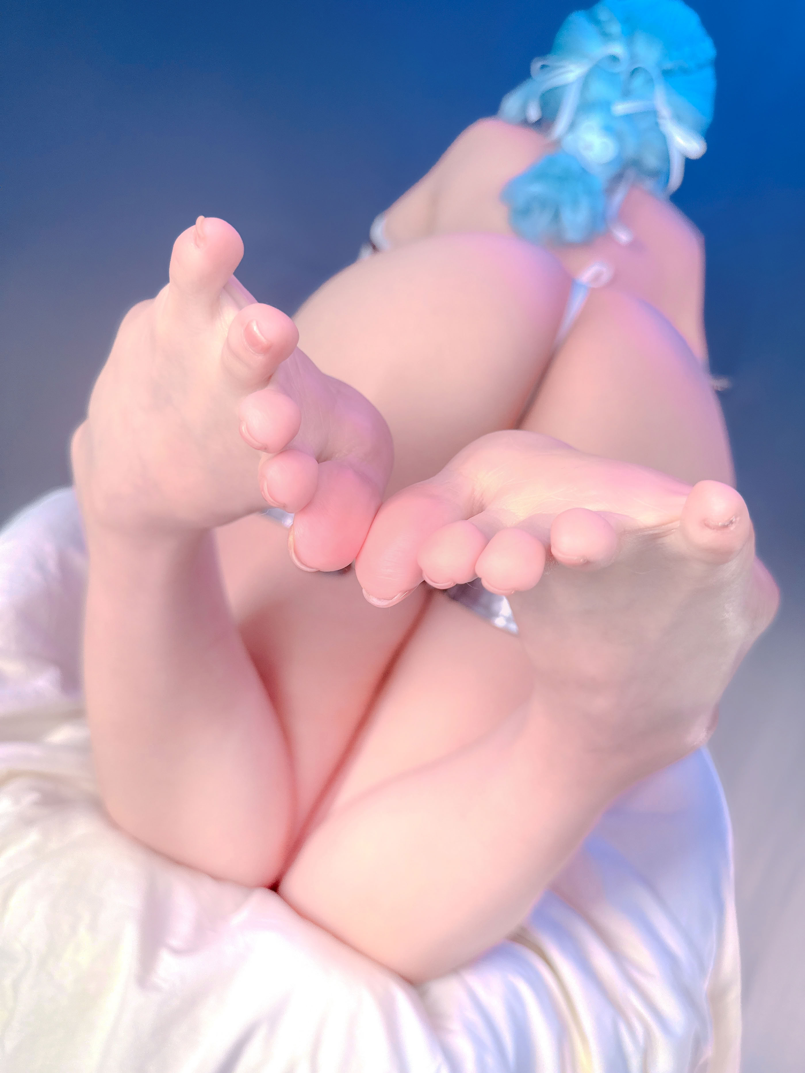 Ayame - Hạt Giống