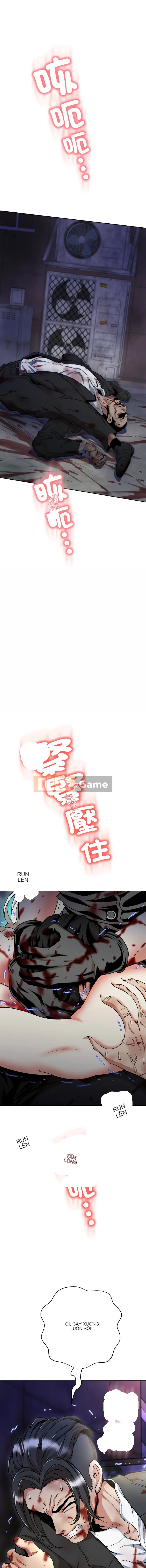 Bạn gái của Rồng Gai và Phượng Hoàng Gai Chương 17-18