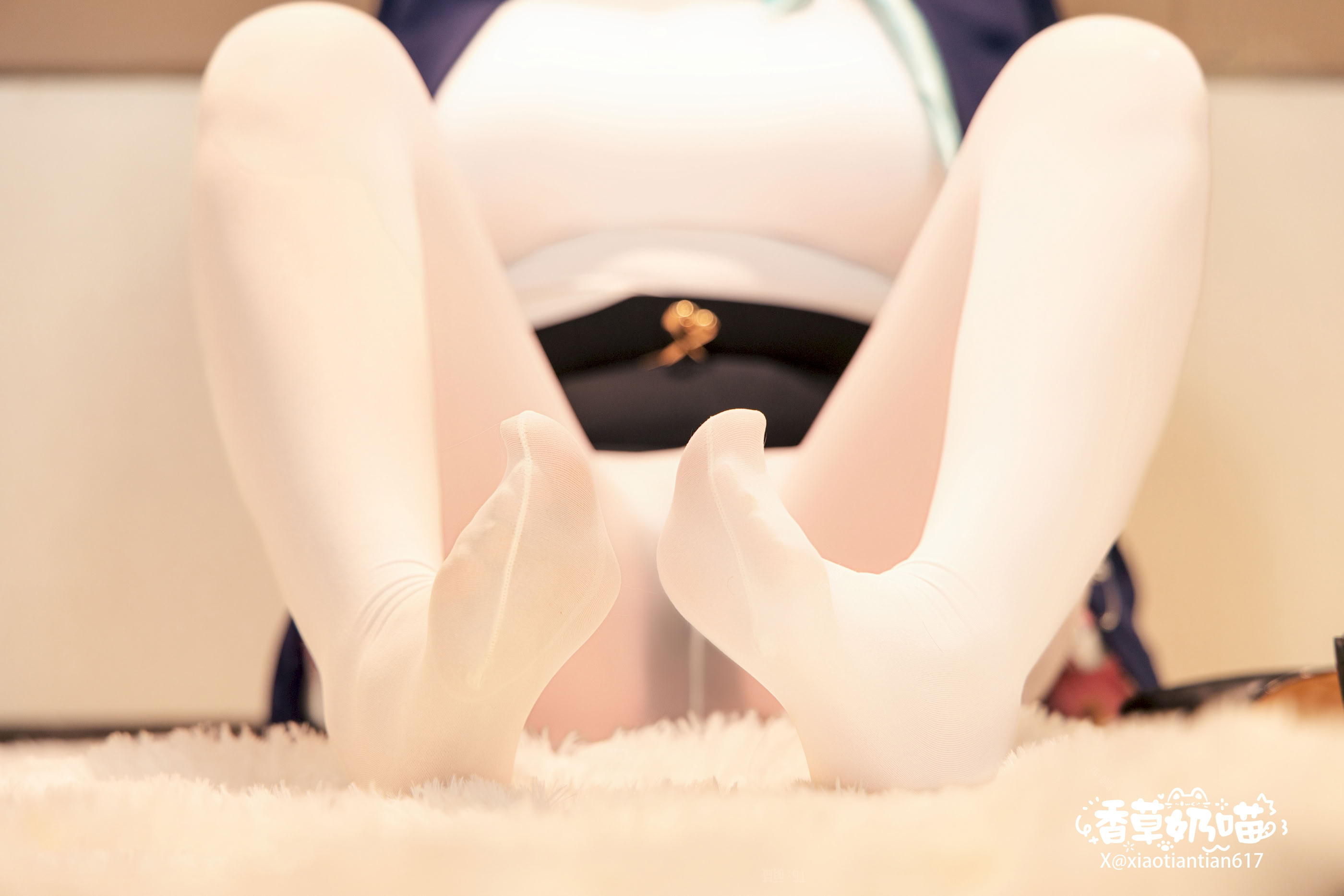 Mèo Sữa Vani - Nữ thần chiến thắng: Nikki Sola