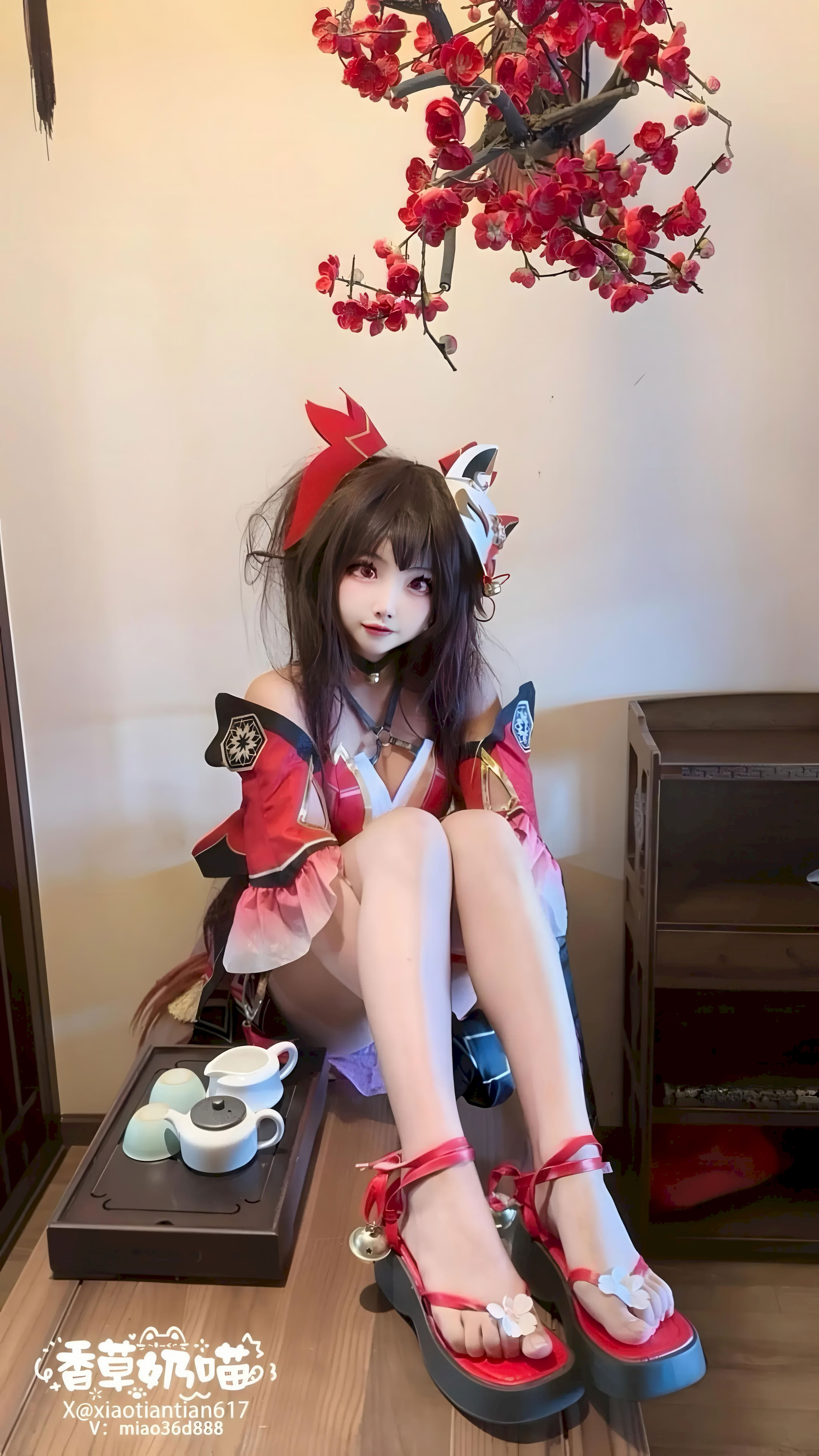 Vani Sữa Meow - Honkai Impact: Star Railroad Hanabi