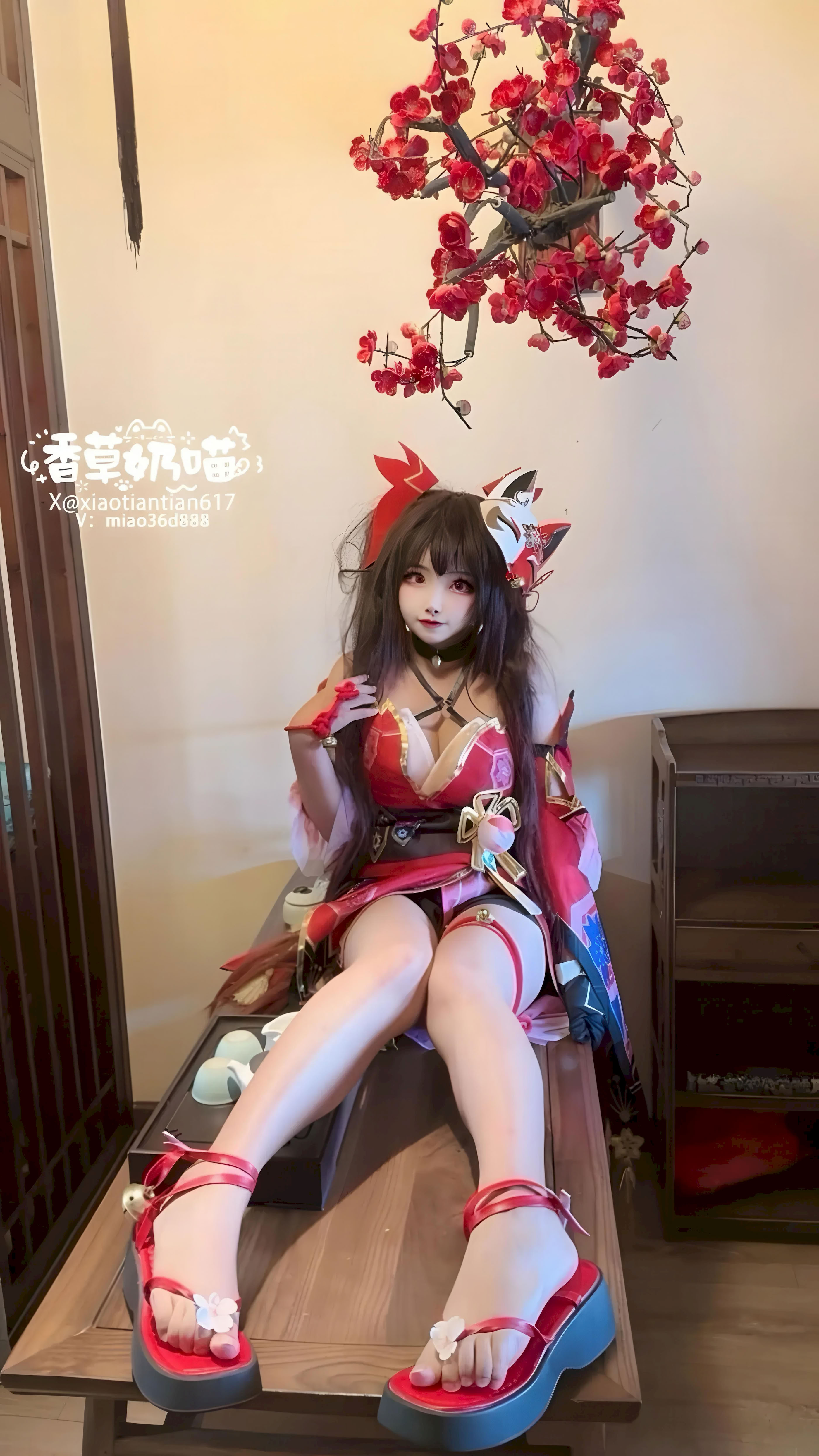 Vani Sữa Meow - Honkai Impact: Star Railroad Hanabi