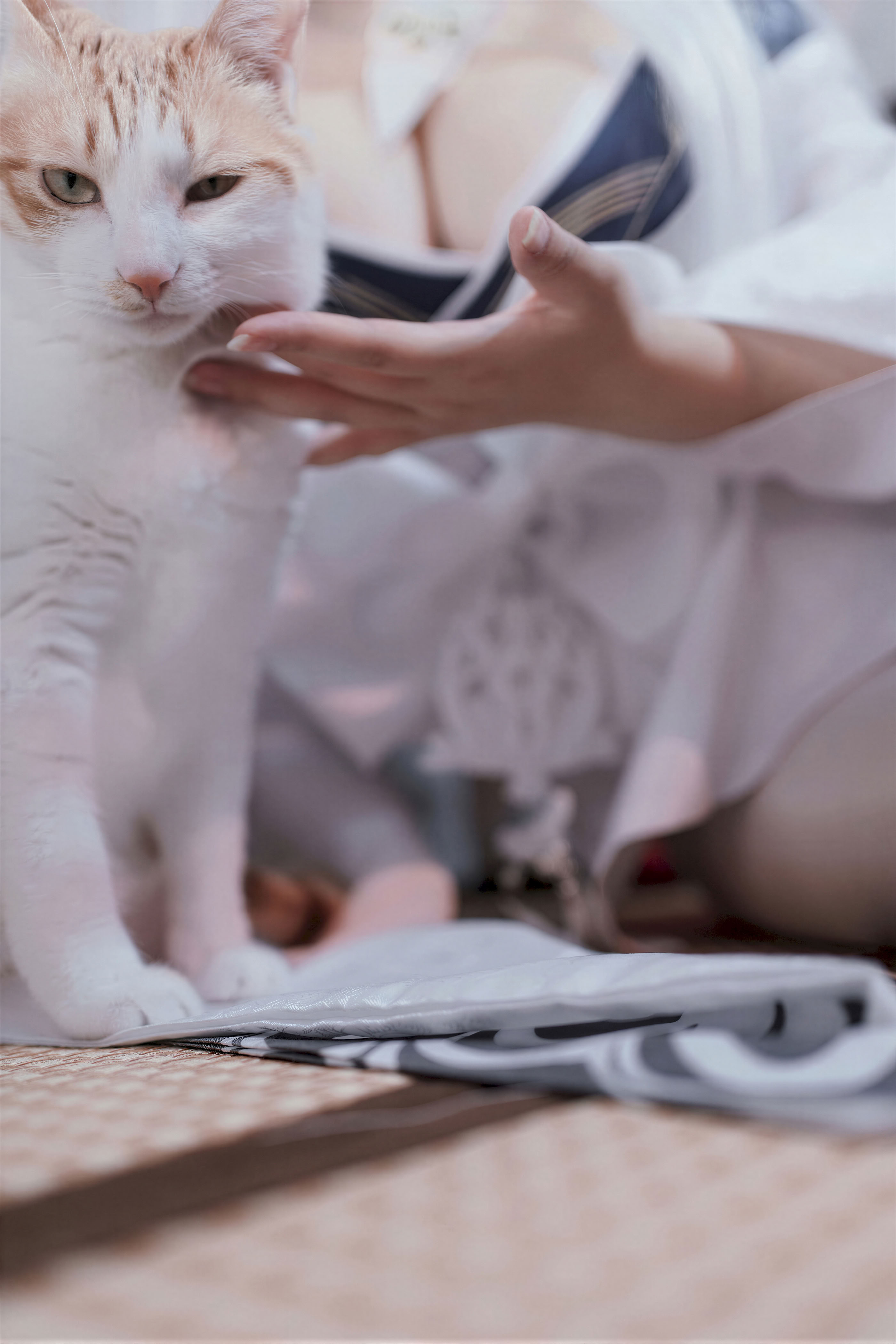 Ah Ban hôm nay vui quá - Azur Lane Hakuho kimono